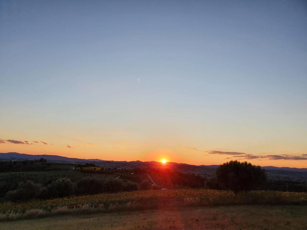 La Collina Bed & Breakfast เดรูตา ภายนอก รูปภาพ